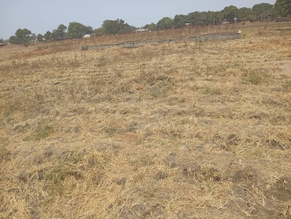 35m × 45m Plot with Foundation — Limbi